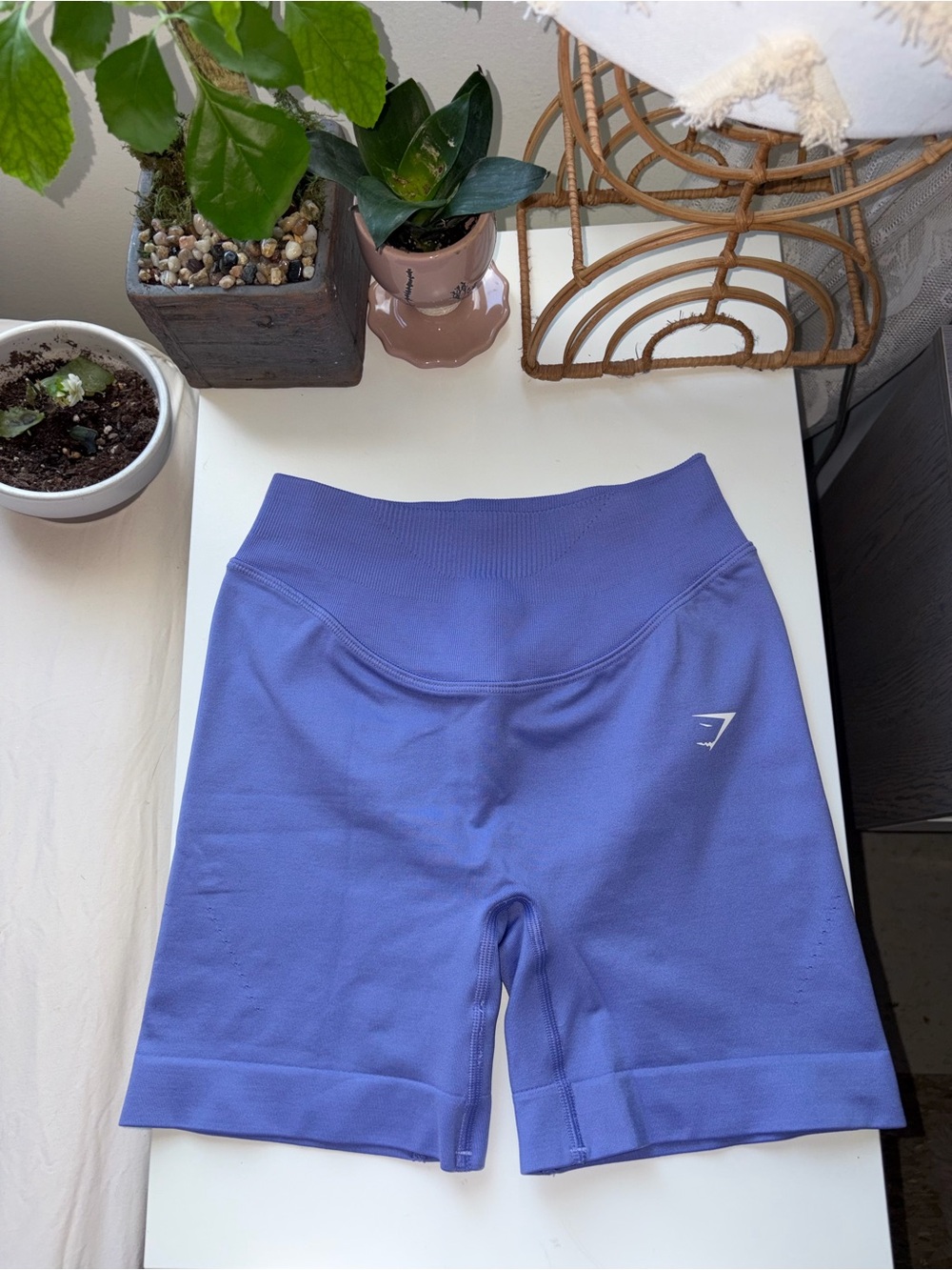 Gymshark Purple Seamless Bike Shorts